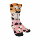 [Made In USA]Custom Face Pet Socks Funny Printed Photo Pet Socks Personalized Maple Leaf Sublimated Crew Socks